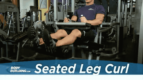 SeatedLegCur